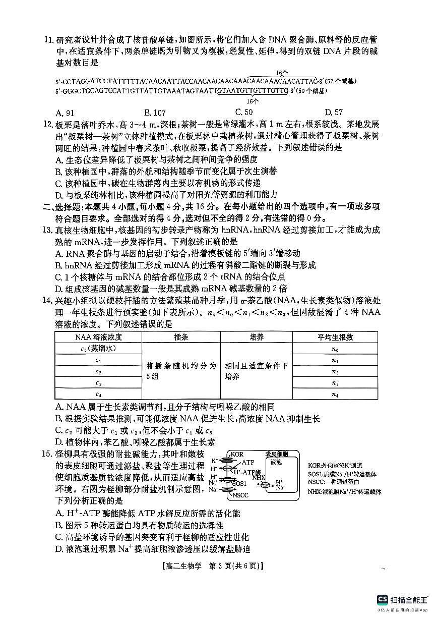 湖南省衡阳市2024-2025学年高二下学期7月期末考试生物试题第3页