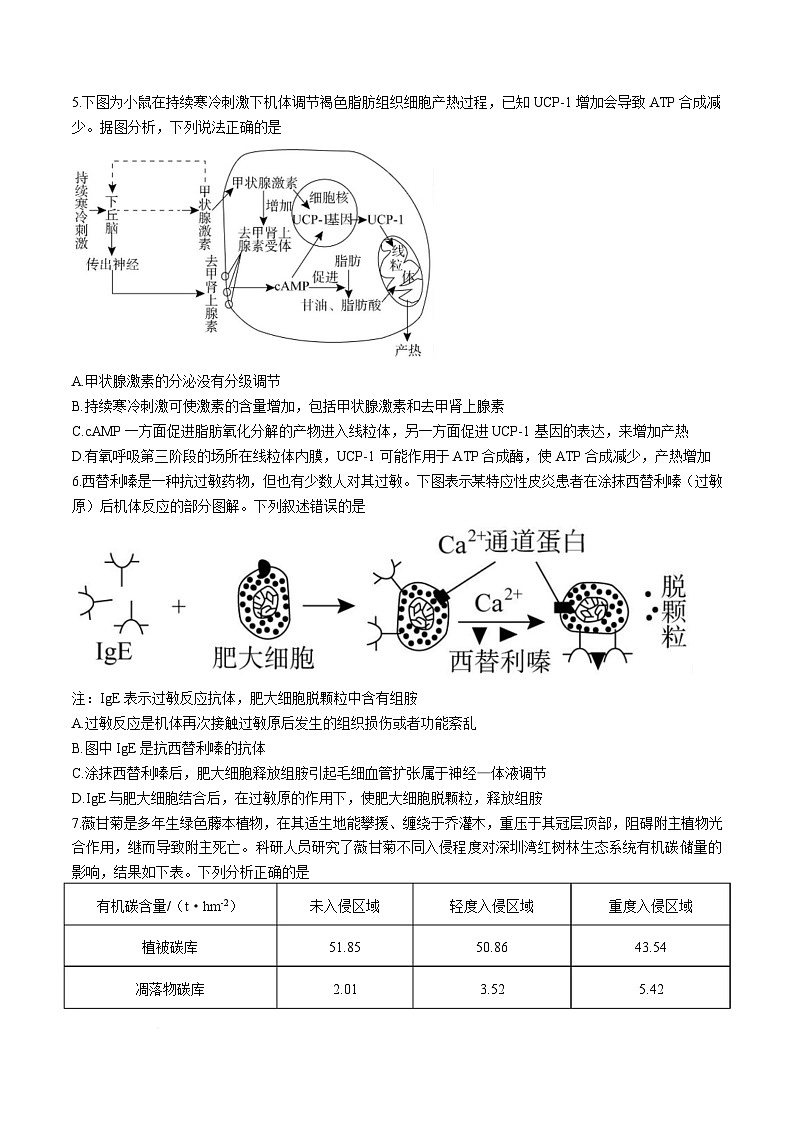 湖南省湘潭市2024-2025学年高二下学期期末考试生物试卷（Word版附解析）第2页