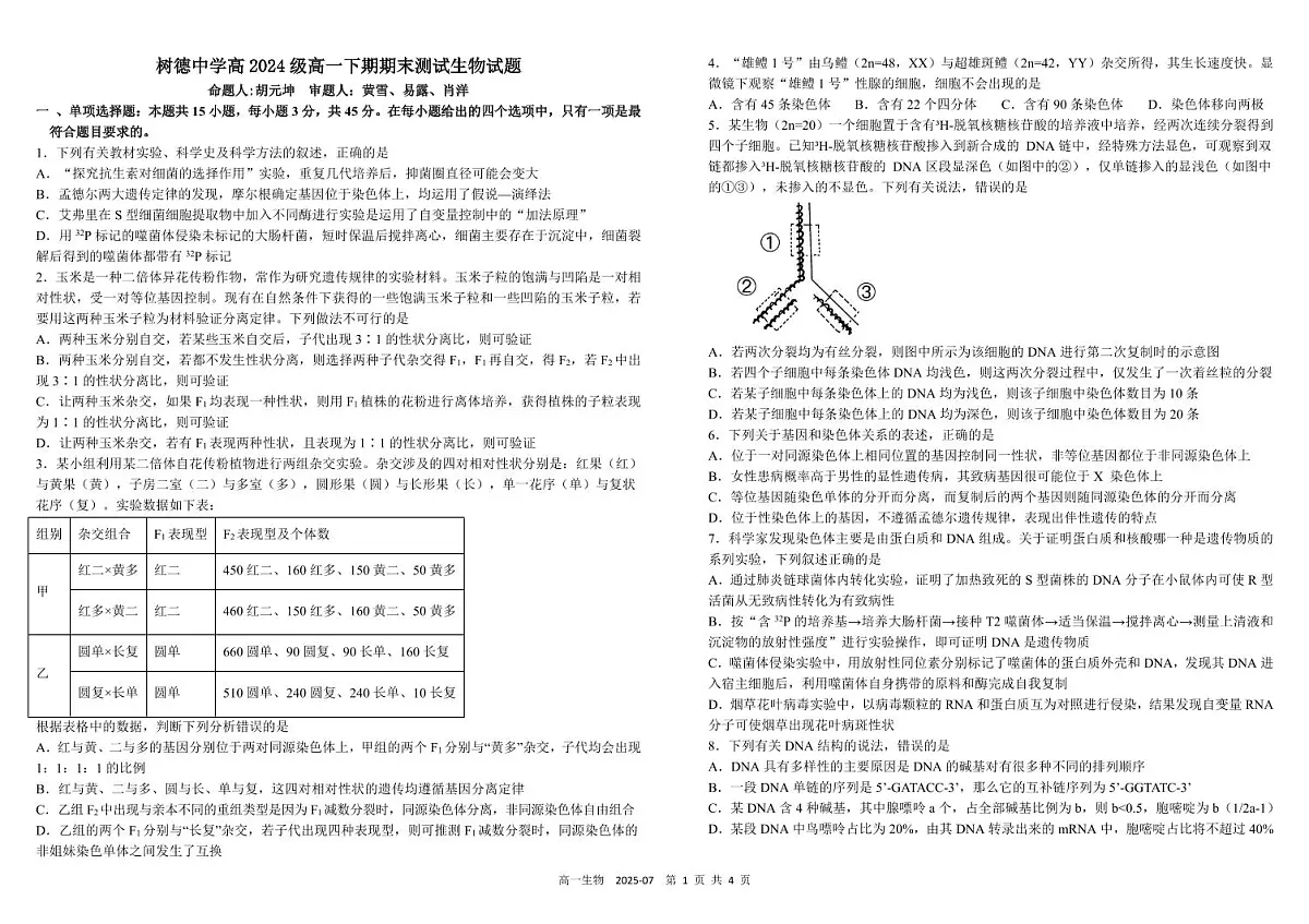 四川省成都市树德中学2024-2025学年高一下学期期末考试生物试卷（PDF版附答案）第1页