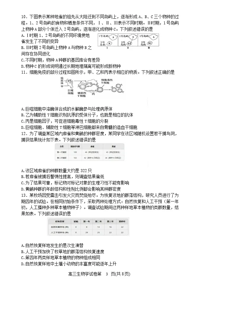 辽宁省丹东市2025届高三上学期1月期末教学质量调研测试生物试卷（含答案）第3页