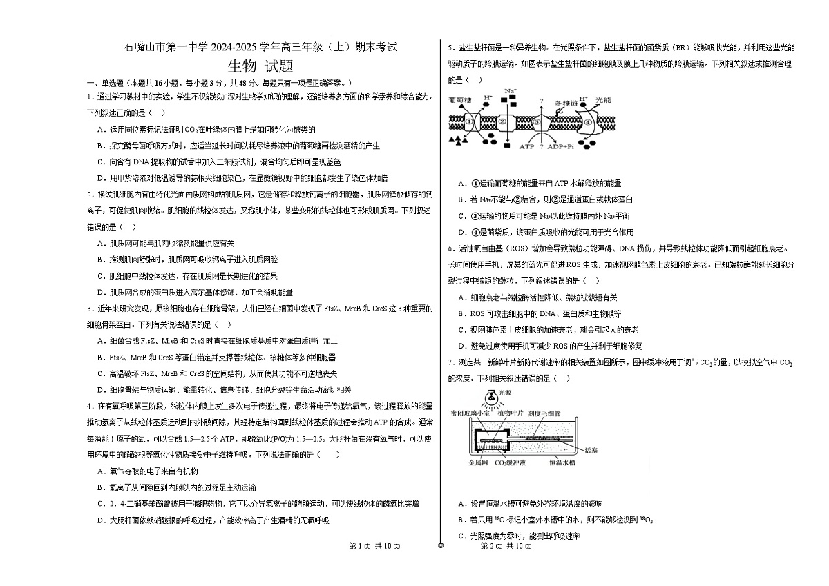 宁夏石嘴山市第一中学2024-2025学年高三上学期1月期末生物试卷（含答案）第1页