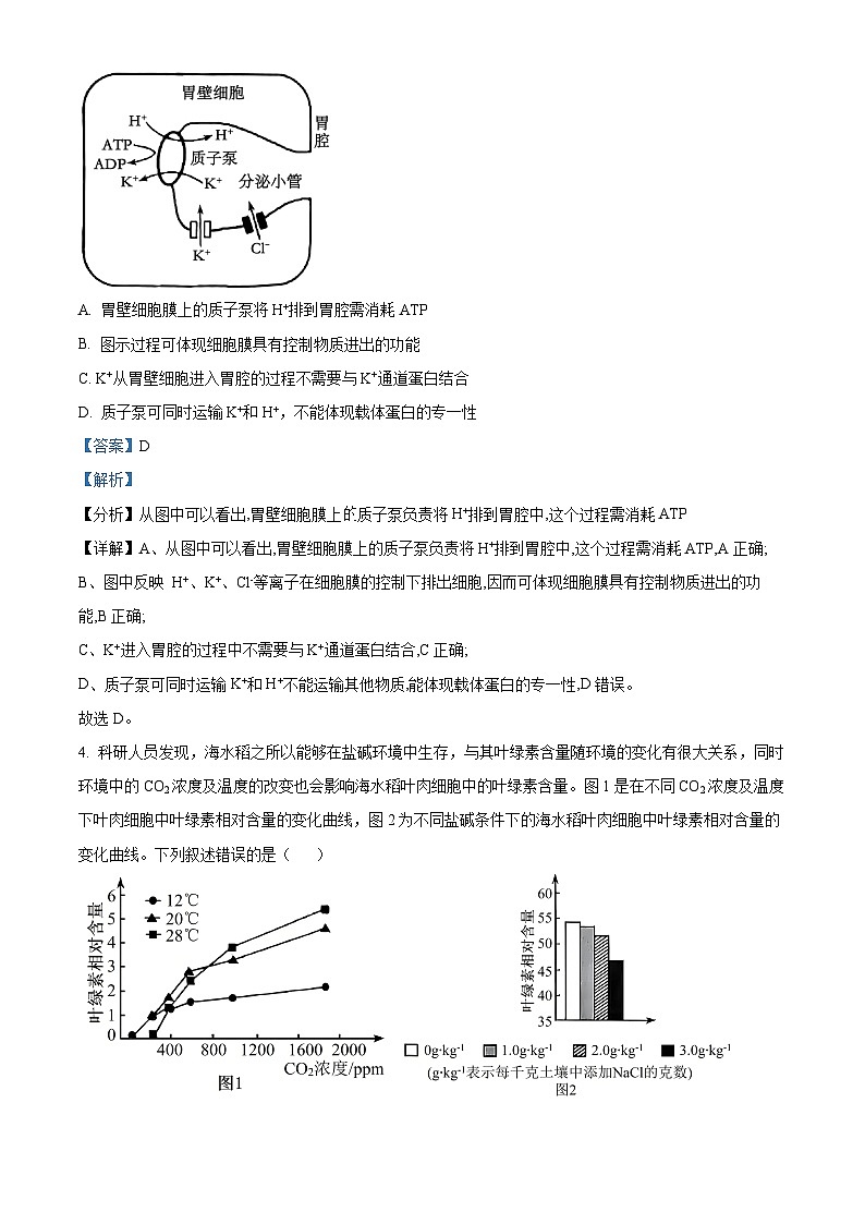 山西省晋中市2024-2025学年高三下学期4月月考生物试题  Word版含解析第3页