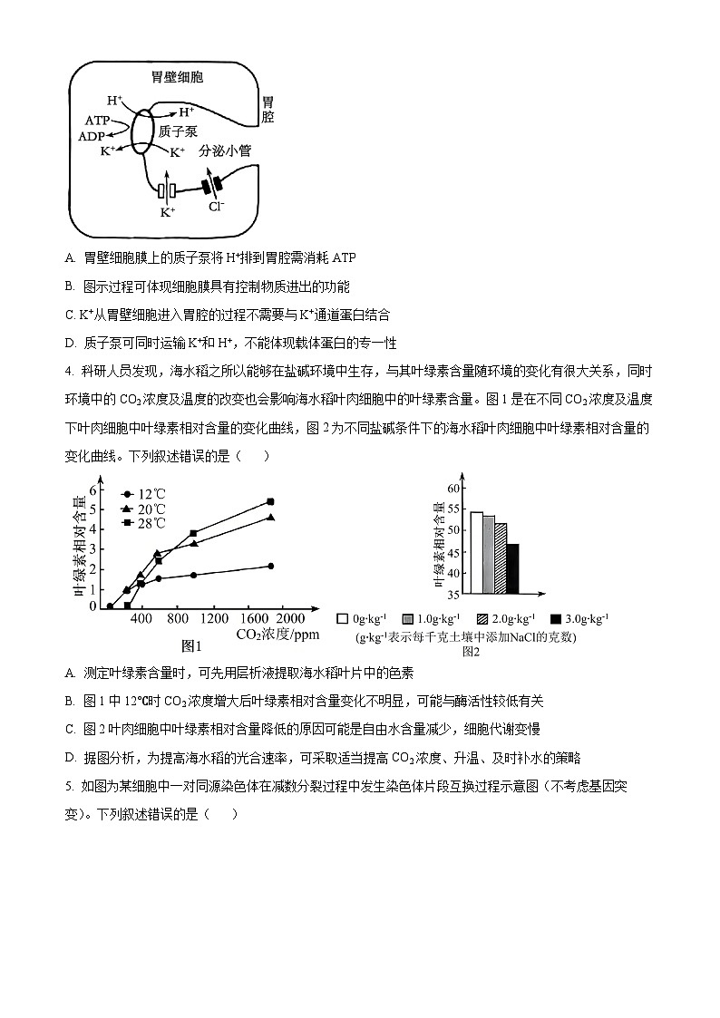 山西省晋中市2024-2025学年高三下学期4月月考生物试题  Word版无答案第2页