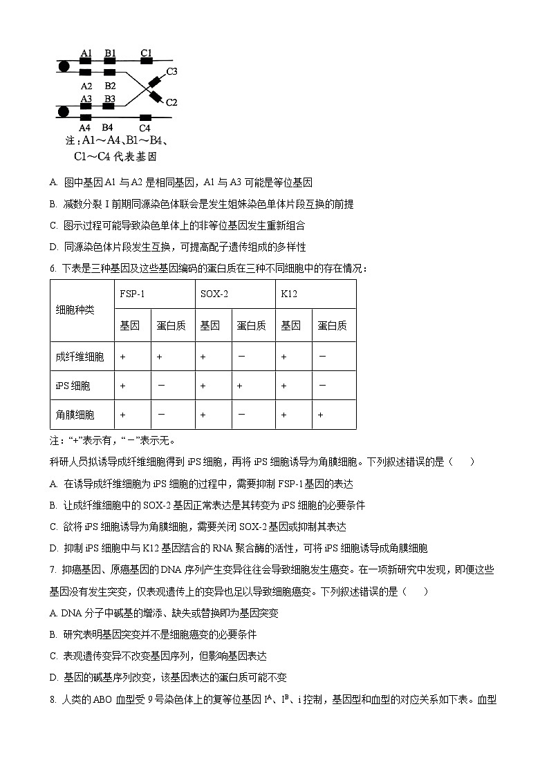 山西省晋中市2024-2025学年高三下学期4月月考生物试题  Word版无答案第3页
