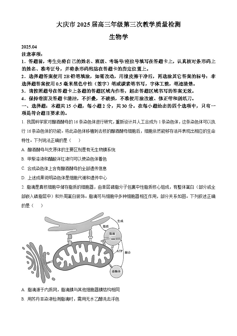 2025届黑龙江省大庆市高三下学期4月第三次教学质量检测生物试题  Word版无答案第1页