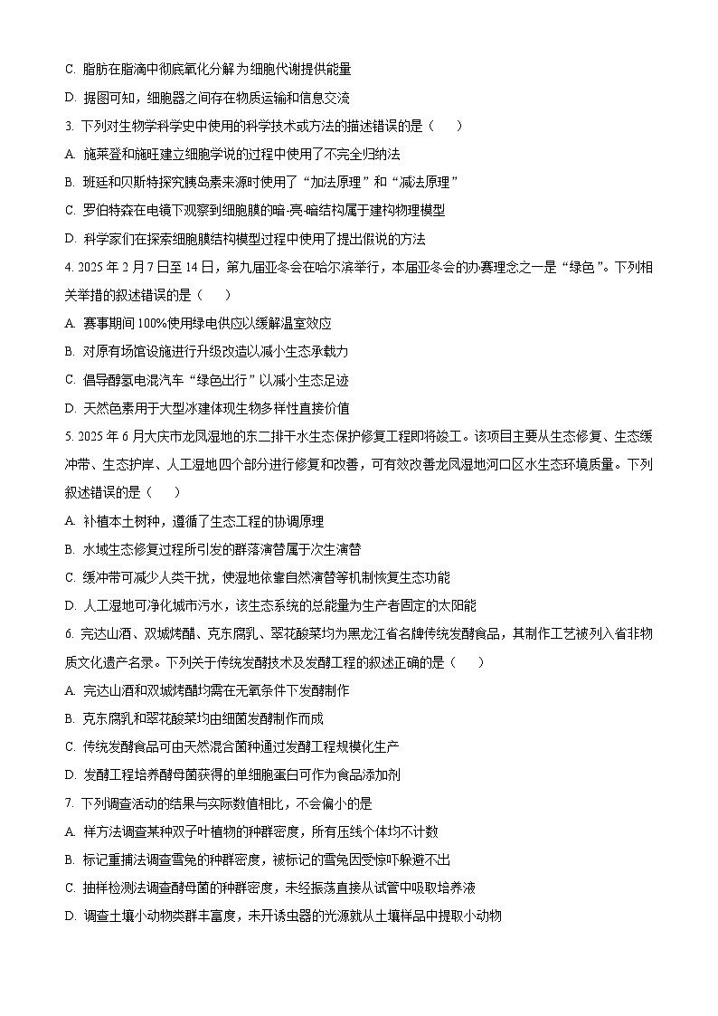 2025届黑龙江省大庆市高三下学期4月第三次教学质量检测生物试题  Word版无答案第2页
