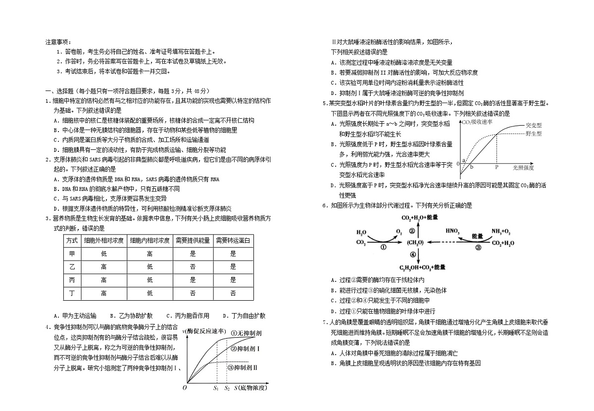 宁夏回族自治区银川市2024_2025学年高三生物上学期第四次月考试题第1页