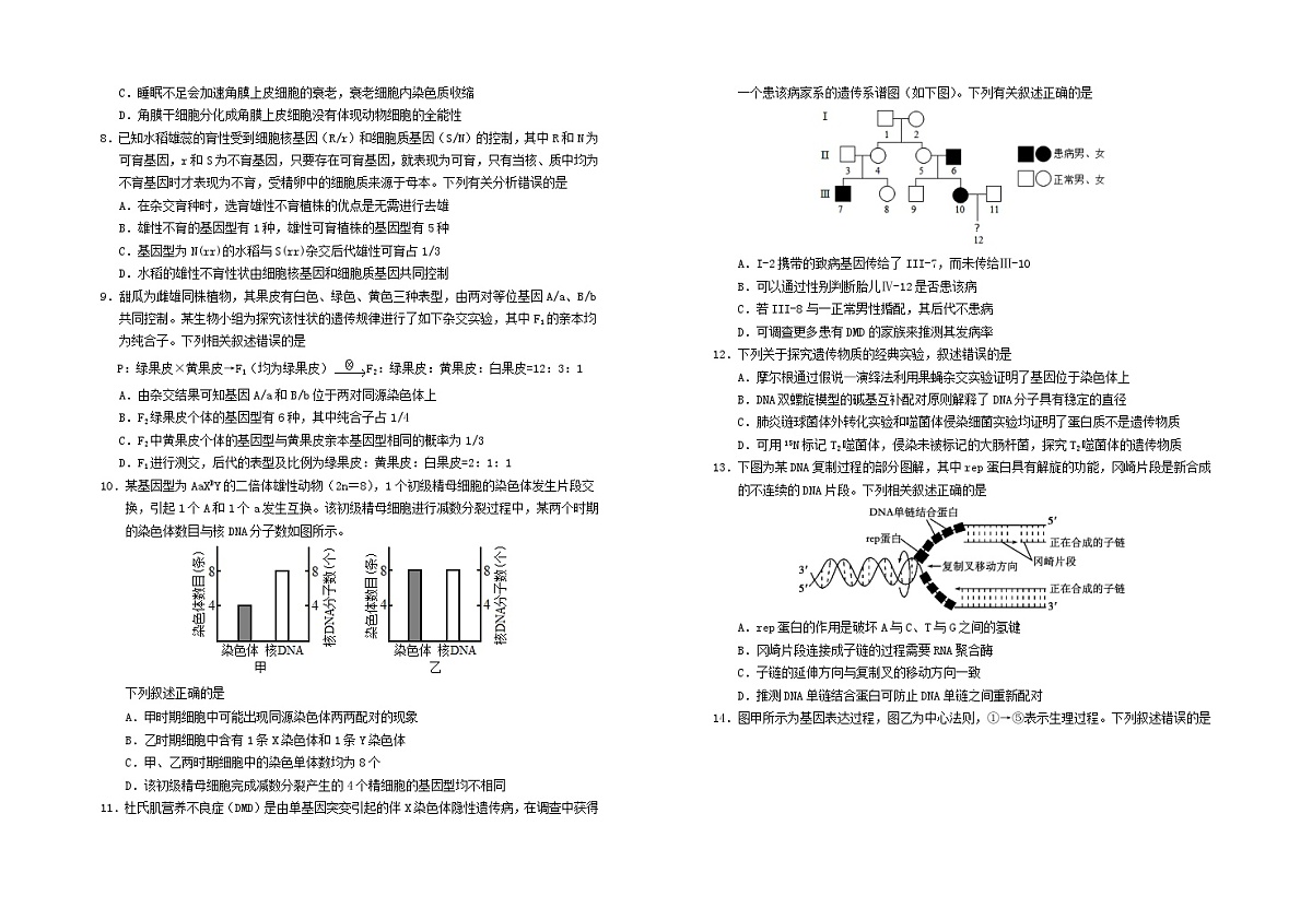 宁夏回族自治区银川市2024_2025学年高三生物上学期第四次月考试题第2页