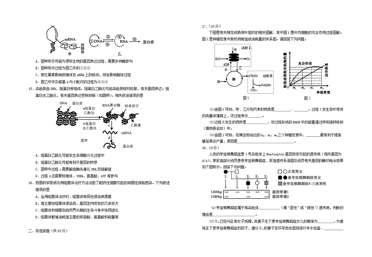 宁夏回族自治区银川市2024_2025学年高三生物上学期第四次月考试题第3页