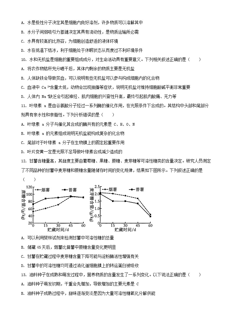 山东省2024_2025学年高一生物上学期11月期中试题含解析第3页