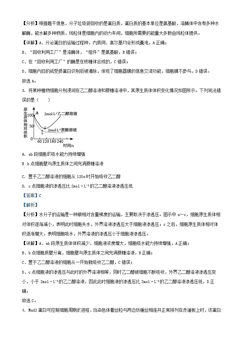 山东省济宁市2024届高三生物上学期期末考试试题含解析第2页