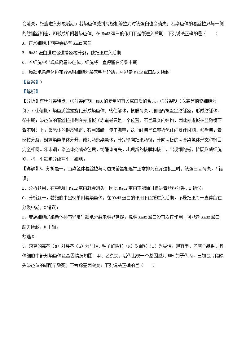 山东省济宁市2024届高三生物上学期期末考试试题含解析第3页