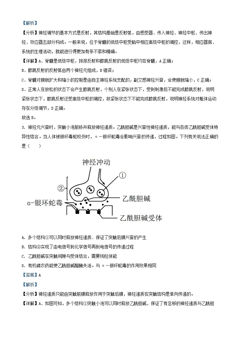 山东省泰安市2023_2024学年高二生物上学期1月月考试题含解析第2页