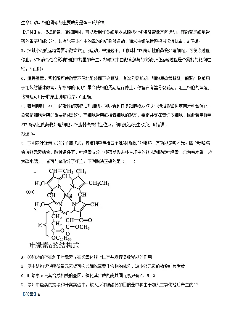 山东省泰安市2025届高三生物上学期11月月考试题含解析第2页