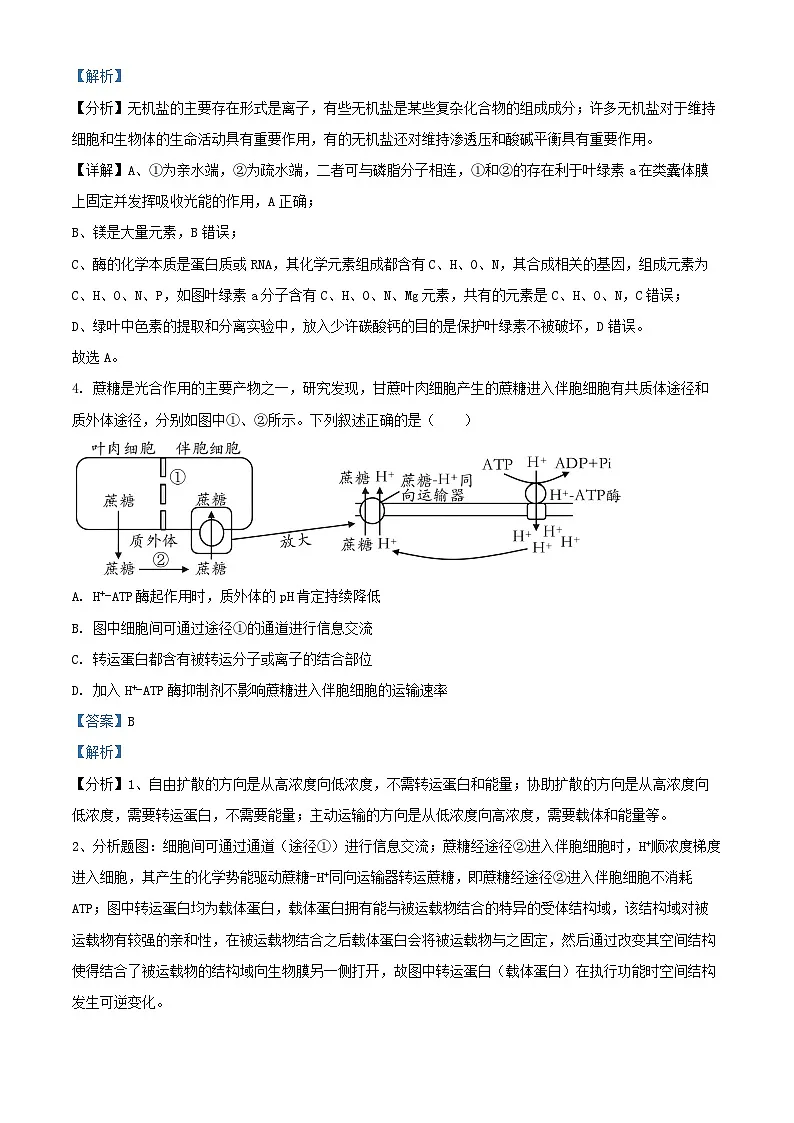 山东省泰安市2025届高三生物上学期11月月考试题含解析第3页