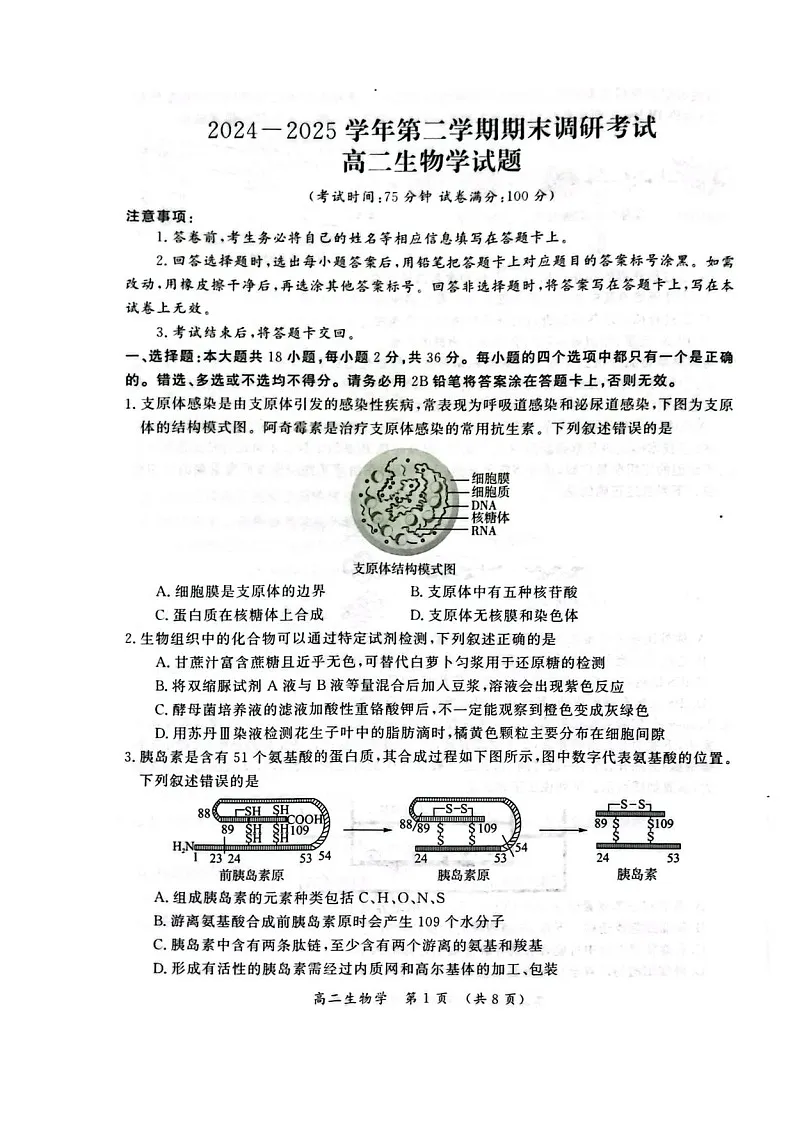 河南省开封市2024-2025学年高二下学期期末考试生物试卷第1页