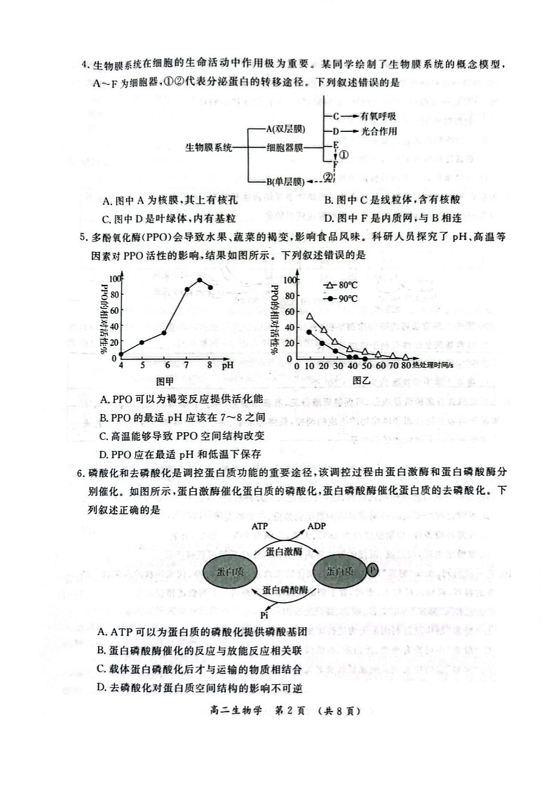 河南省开封市2024-2025学年高二下学期期末考试生物试卷第2页