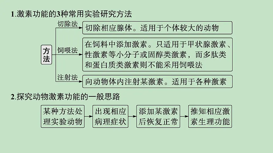 2026届高三生物一轮复习课件体液调节的相关实验探究课件第2页