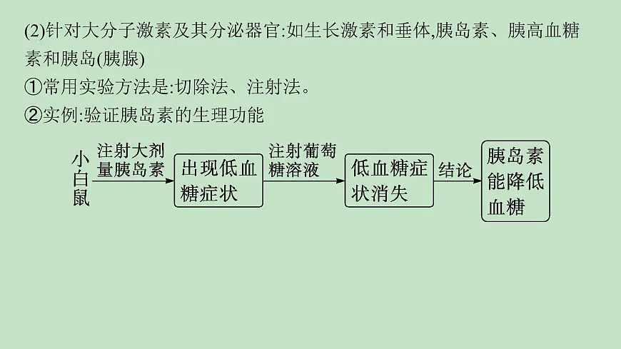2026届高三生物一轮复习课件体液调节的相关实验探究课件第5页