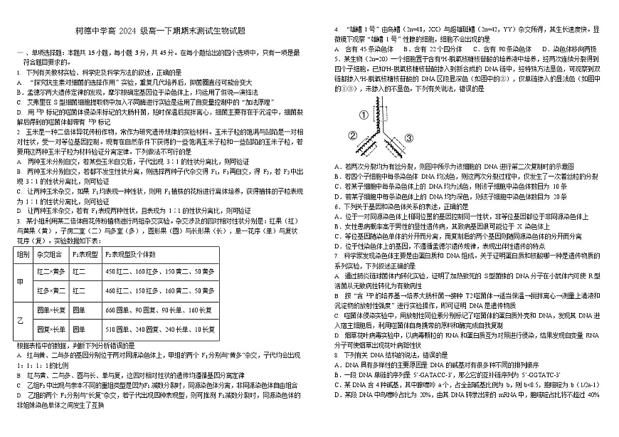 四川省成都市树德中学2024-2025学年高一下学期期末考试 生物试卷第1页
