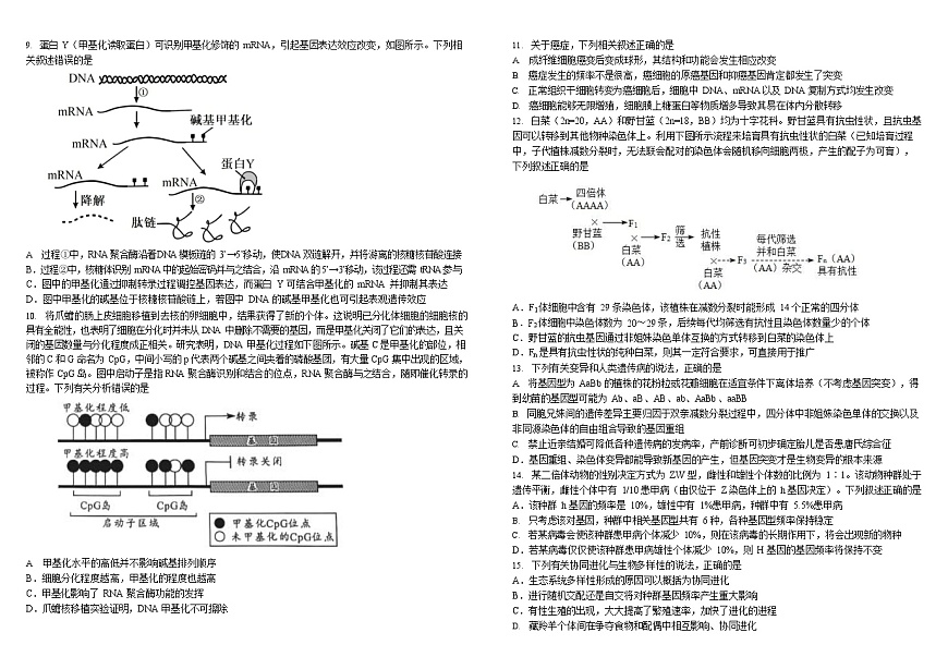 四川省成都市树德中学2024-2025学年高一下学期期末考试 生物试卷第2页
