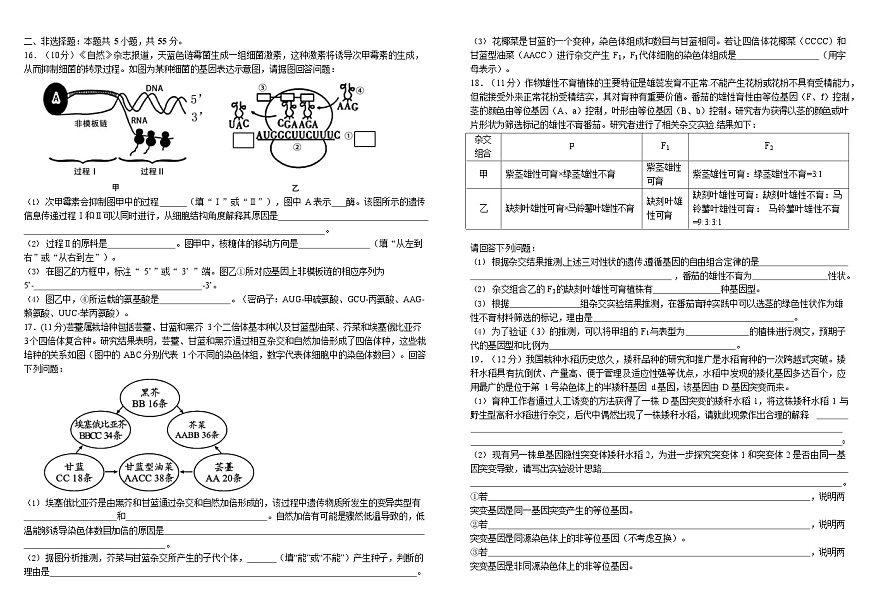 四川省成都市树德中学2024-2025学年高一下学期期末考试 生物试卷第3页