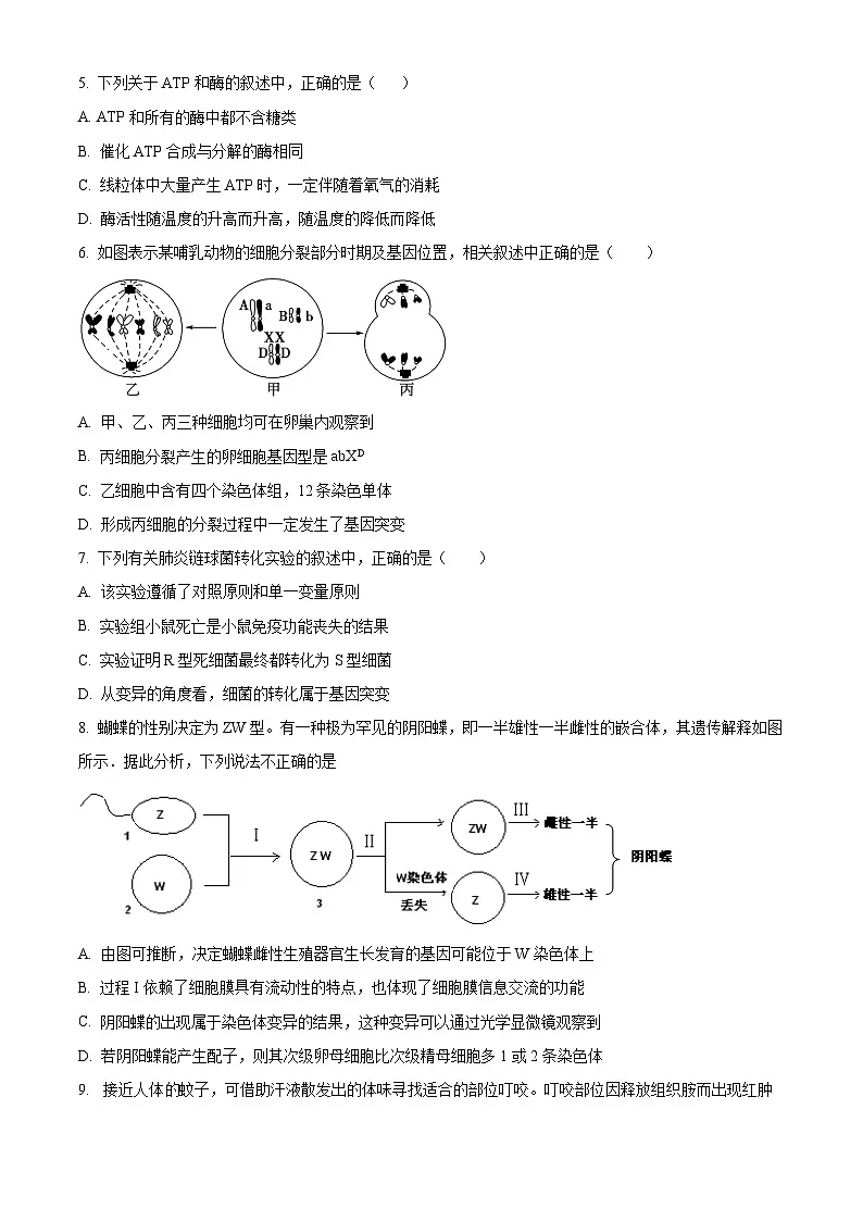 2025届广西壮族自治区柳州市高三下学期4月月考生物试题 Word版无答案第2页