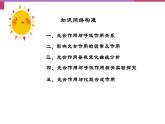 5.4光合作用原理的应用课件-2024-2025学年高一上学期生物人教版（2019）必修1