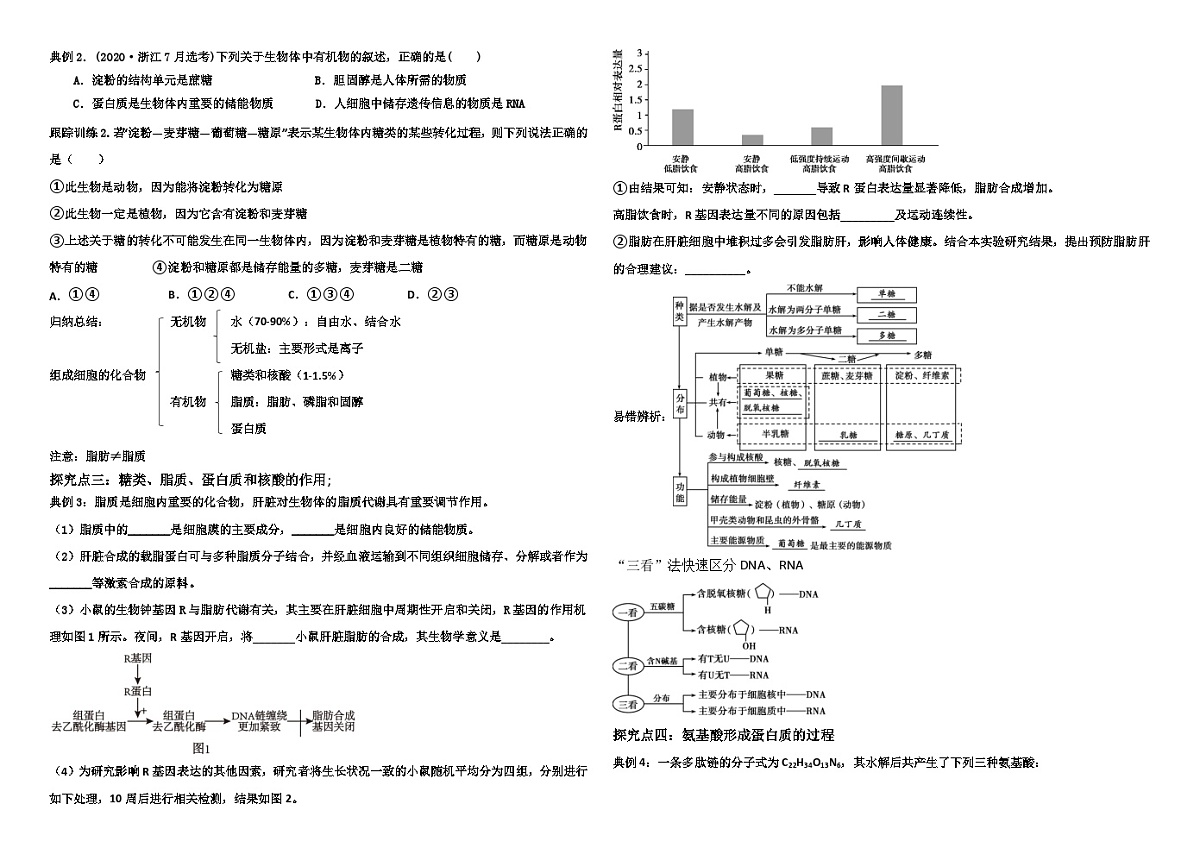 期中考试 复习导学案高中生物人教版必修1第3页