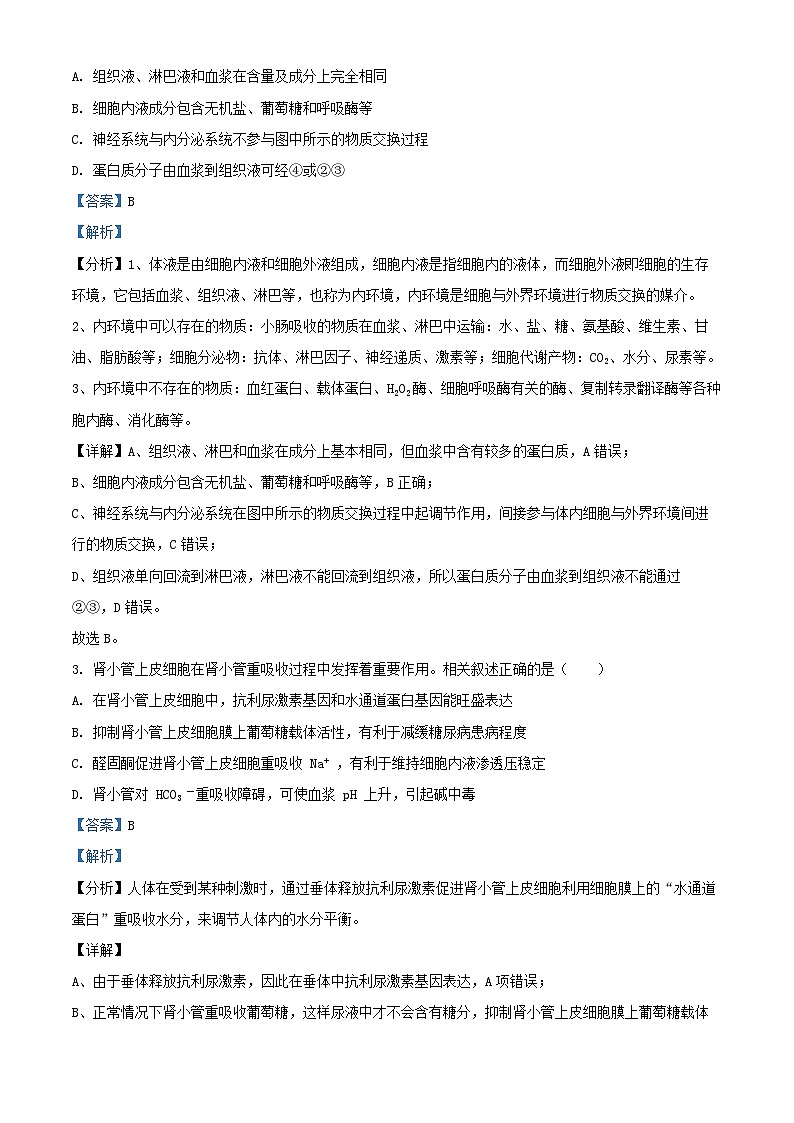 江苏省徐州市2024_2025学年高二生物上学期期中试题含解析第2页