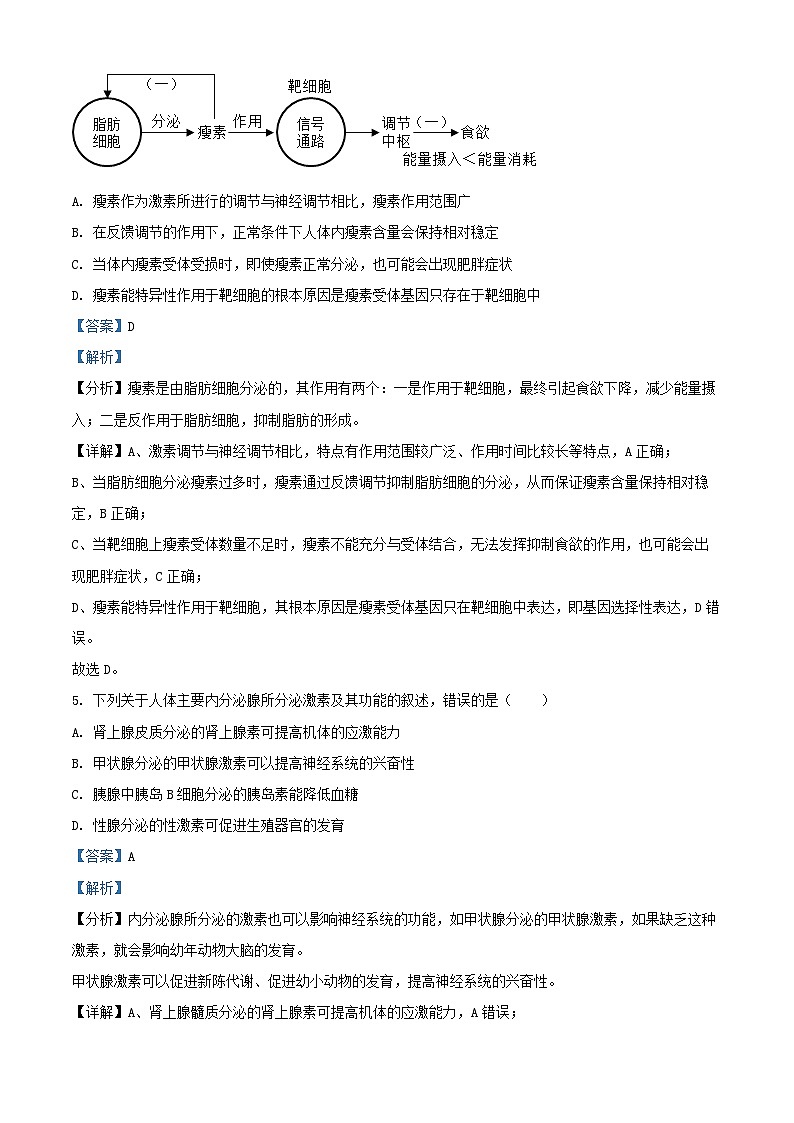 江苏省盐城市2024_2025学年高二生物上学期11月期中联考试题含解析第3页