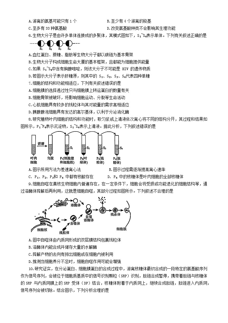 辽宁省2024_2025学年高一生物上学期12月月考试题含解析第2页