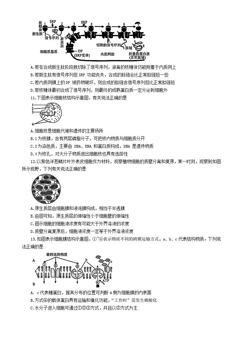 辽宁省2024_2025学年高一生物上学期12月月考试题含解析第3页