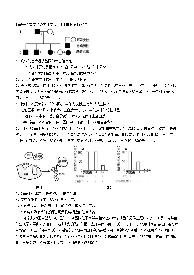 四川省成都市2024_2025学年高三生物上学期12月月考试题第2页