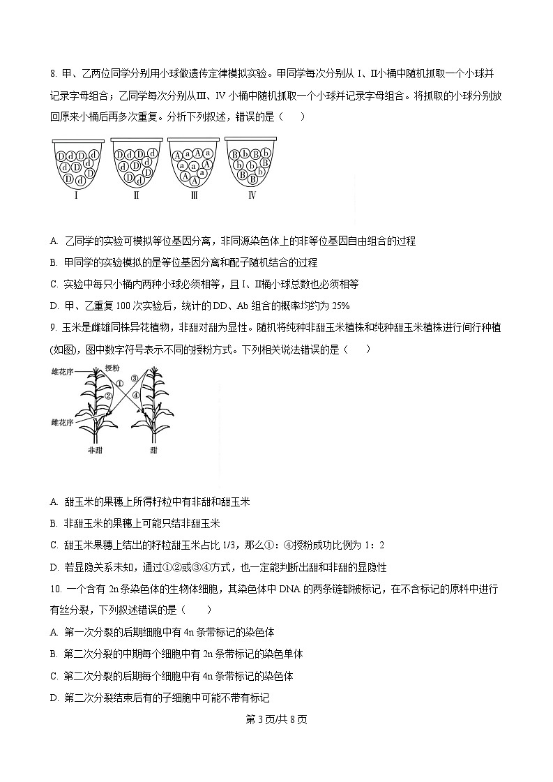 海南省文昌中学2024-2025学年高三上学期第三次月考生物（含答案）第3页
