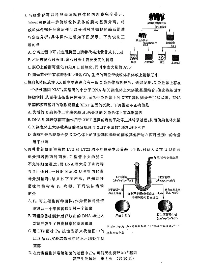 山东省名校考试联盟2025届高三下学期2月开学收心考-生物试卷（学生版）第2页