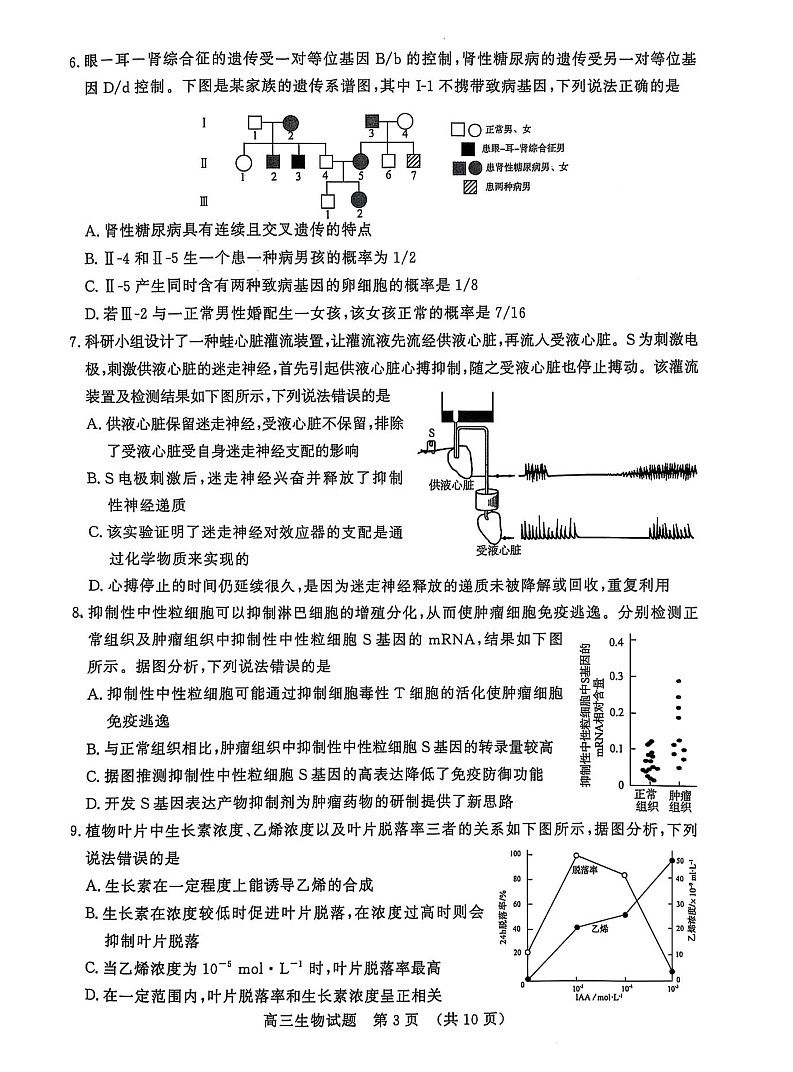 山东省名校考试联盟2025届高三下学期2月开学收心考-生物试卷（学生版）第3页