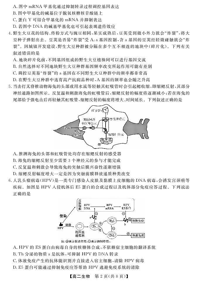 金科·新未来7月3-4日高二联考-生物第2页