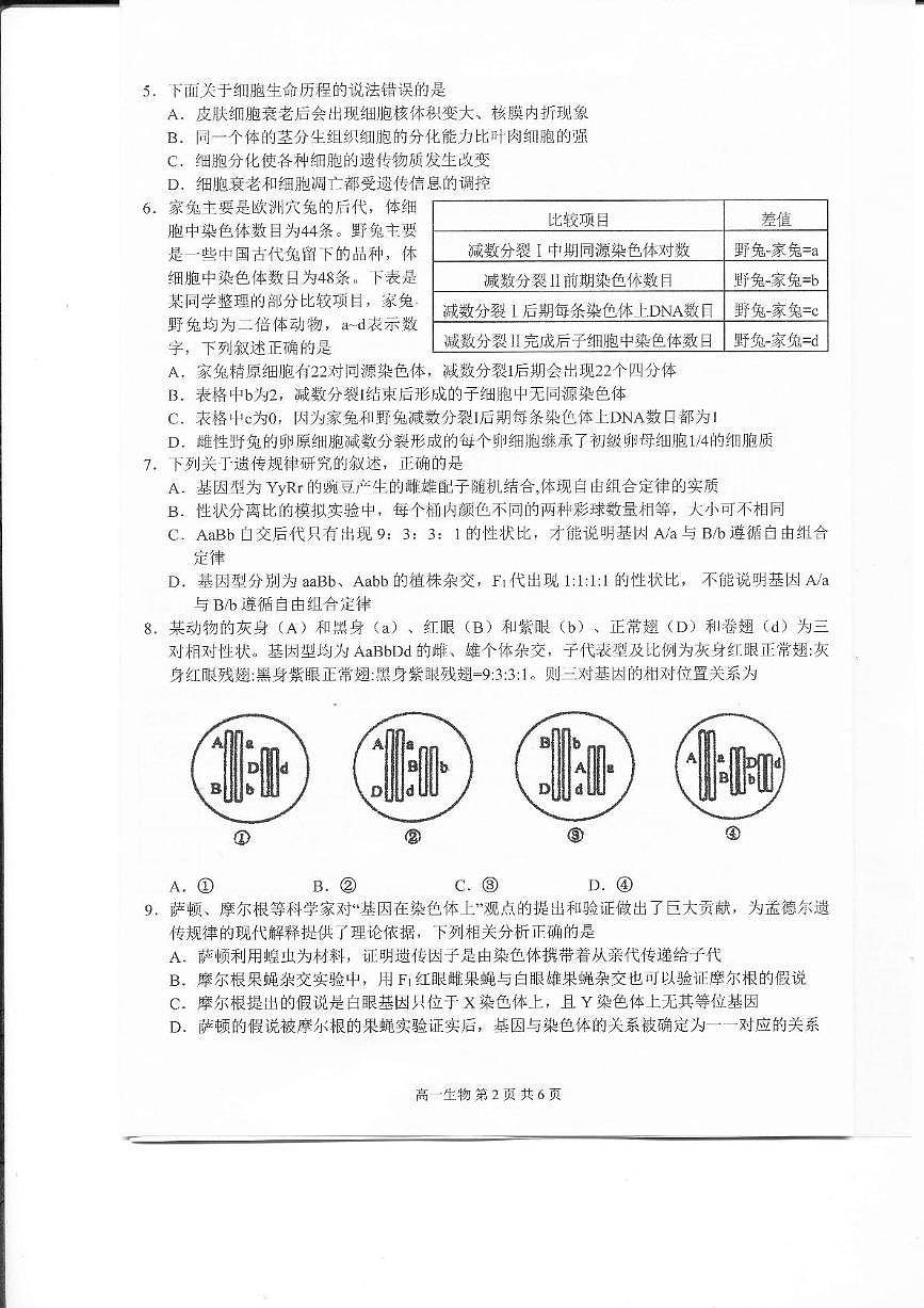 江西省上饶市2024-2025学年高一下学期期末考试生物试题（PDF版附解析）第2页