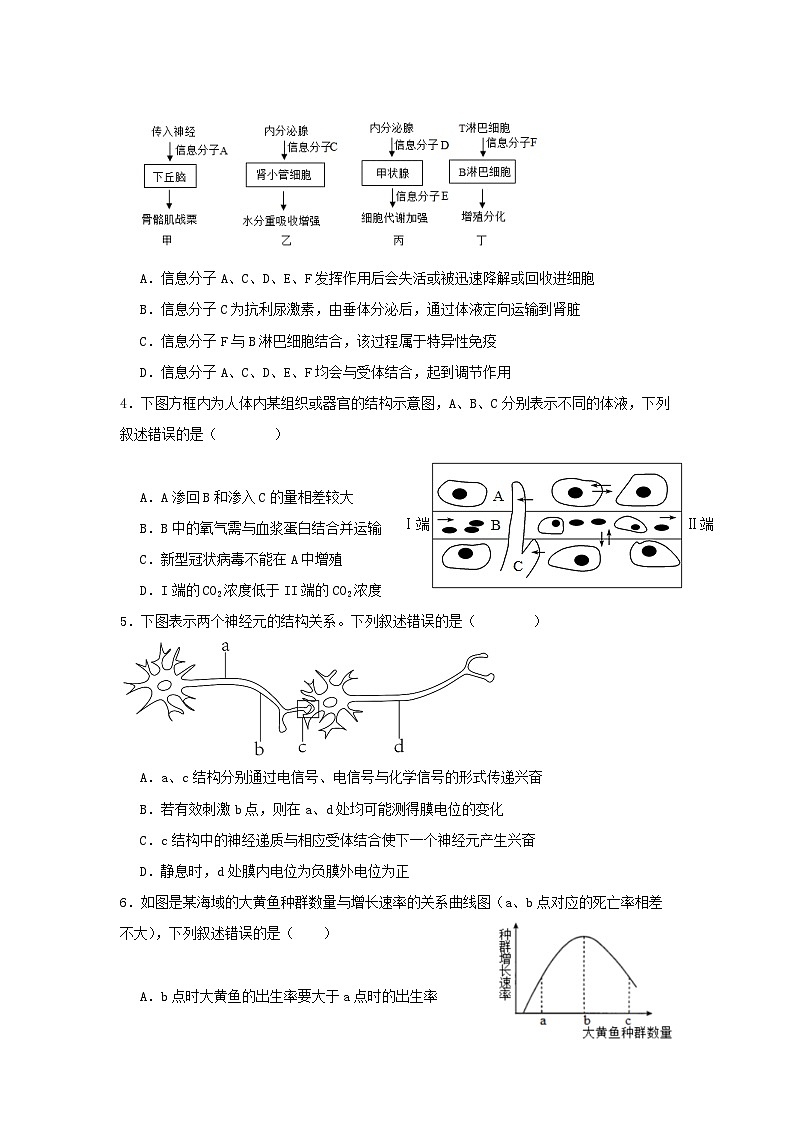 广东省清远市清新区四校联考2024_2025学年高二生物上学期11月月考试题含解析第2页