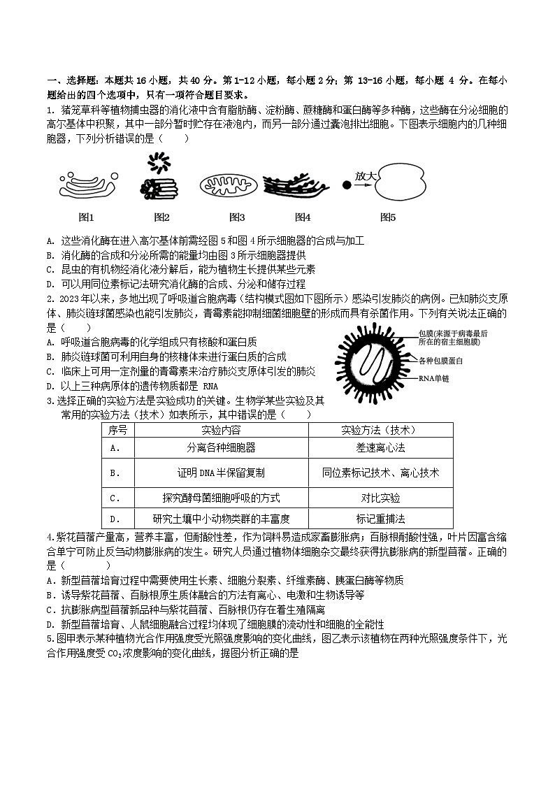 广东诗莞市七校联考2024_2025学年高三生物上学期12月月考第1页