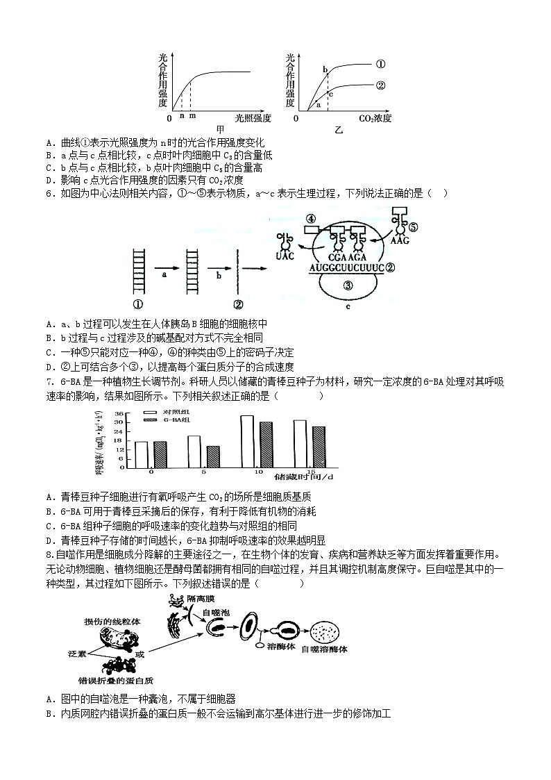 广东诗莞市七校联考2024_2025学年高三生物上学期12月月考第2页