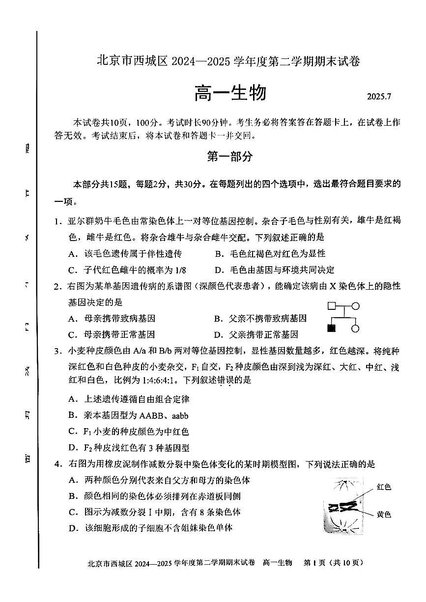 2025北京西城高一（下）期末生物试卷含答案第1页