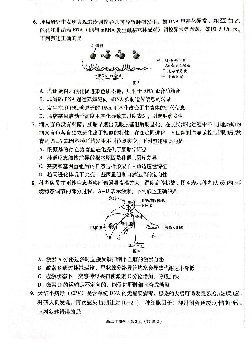 云南省保山市2024-2025学年高二下学期7月期末考试生物试卷（PDF版附解析）第3页