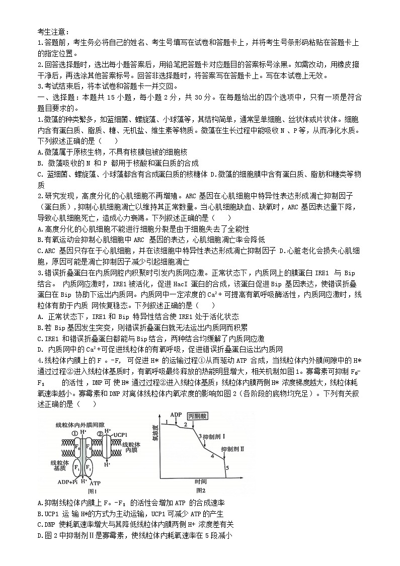 山东省2024_2025学年高三生物上学期12月月考试题第1页