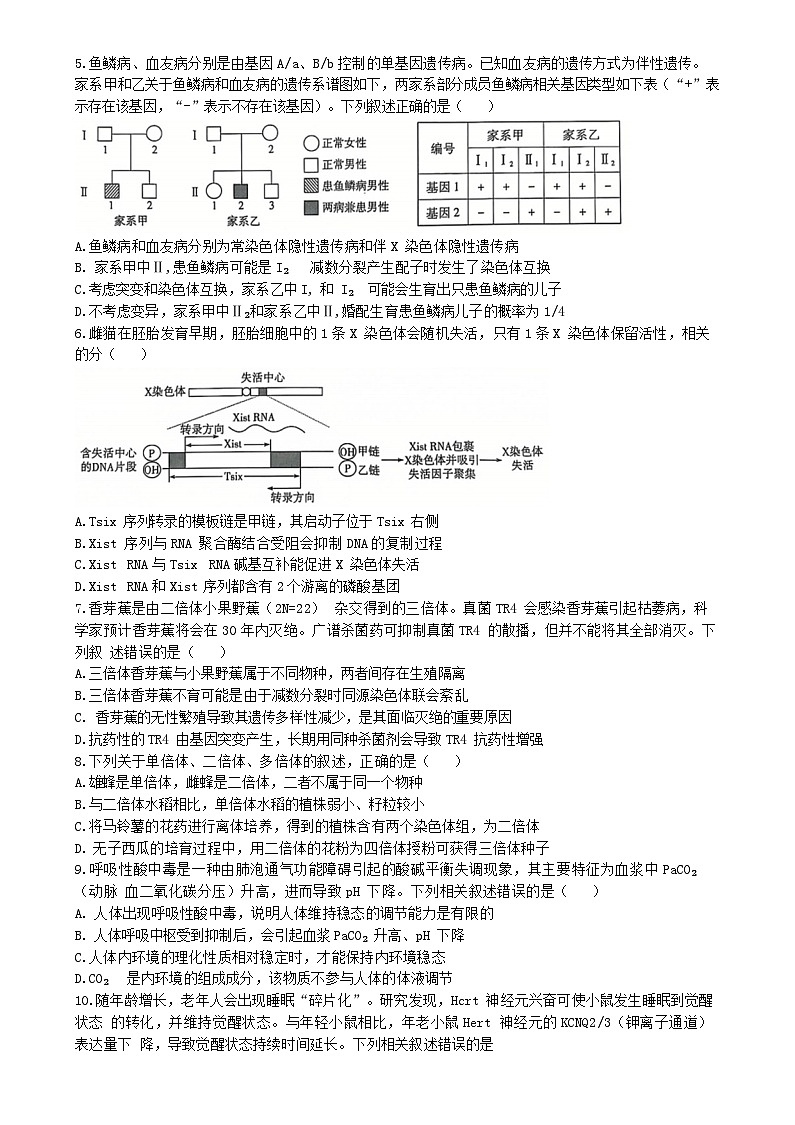 山东省2024_2025学年高三生物上学期12月月考试题第2页