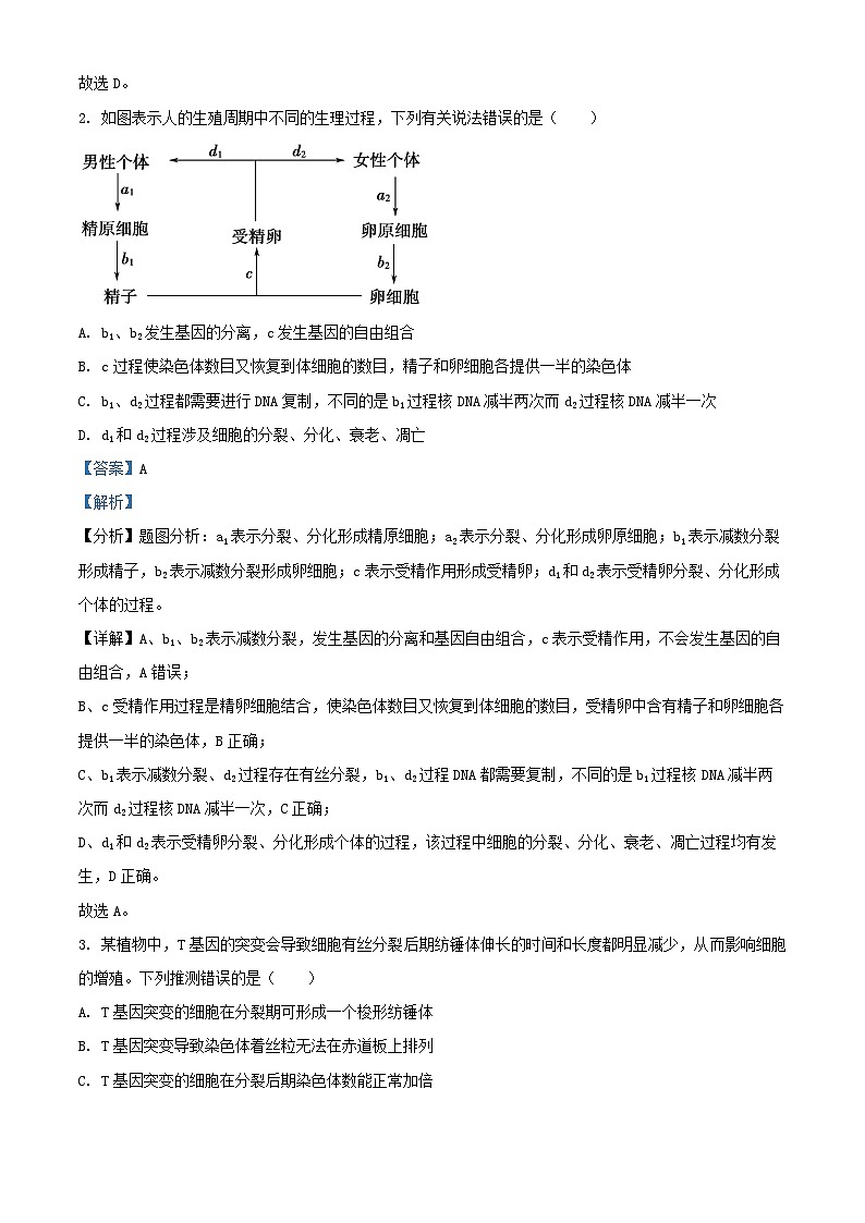 四川省巴中市2024_2025学年高三生物上学期11月月考试题含解析第2页