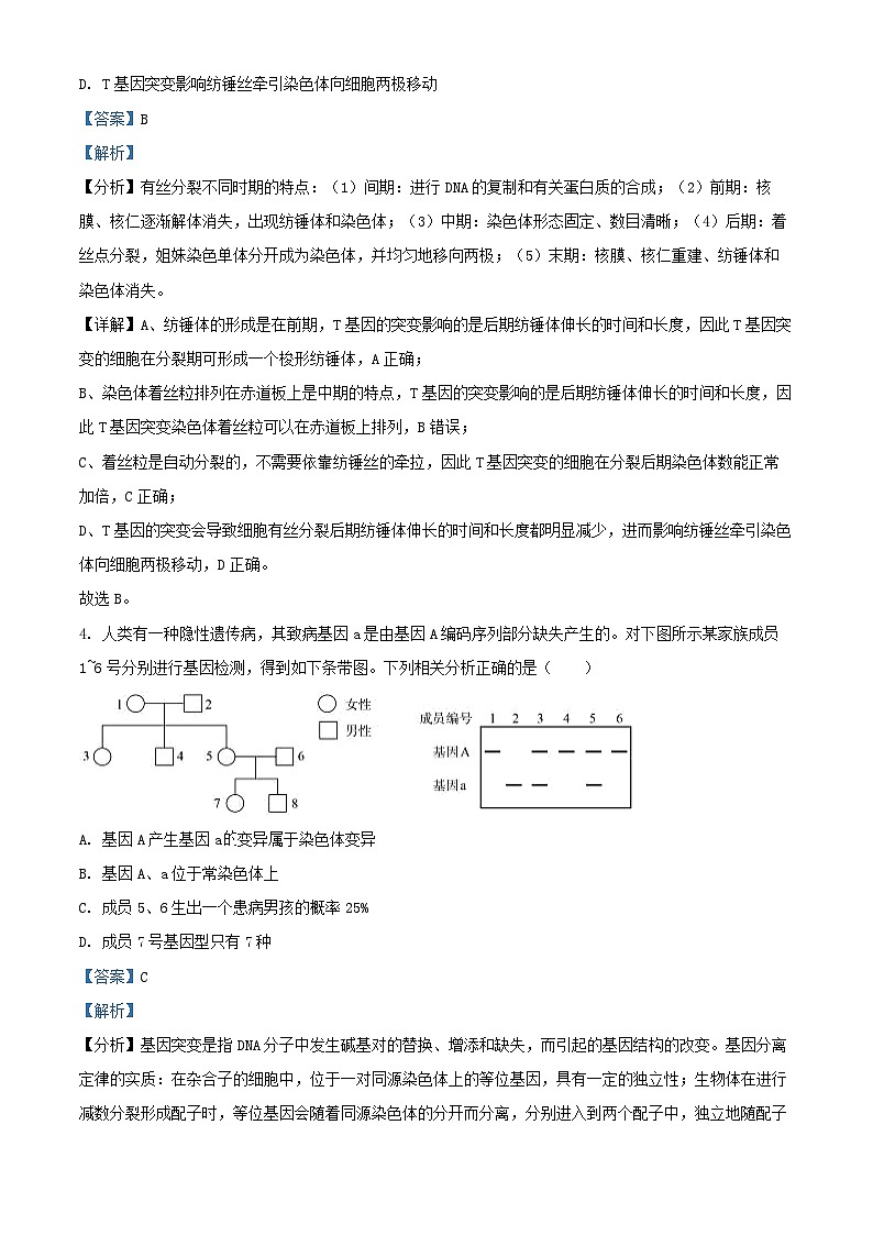 四川省巴中市2024_2025学年高三生物上学期11月月考试题含解析第3页