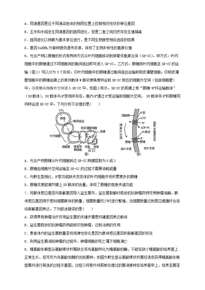 四川省成都市2024_2025学年高三生物上学期12月联考试题第2页