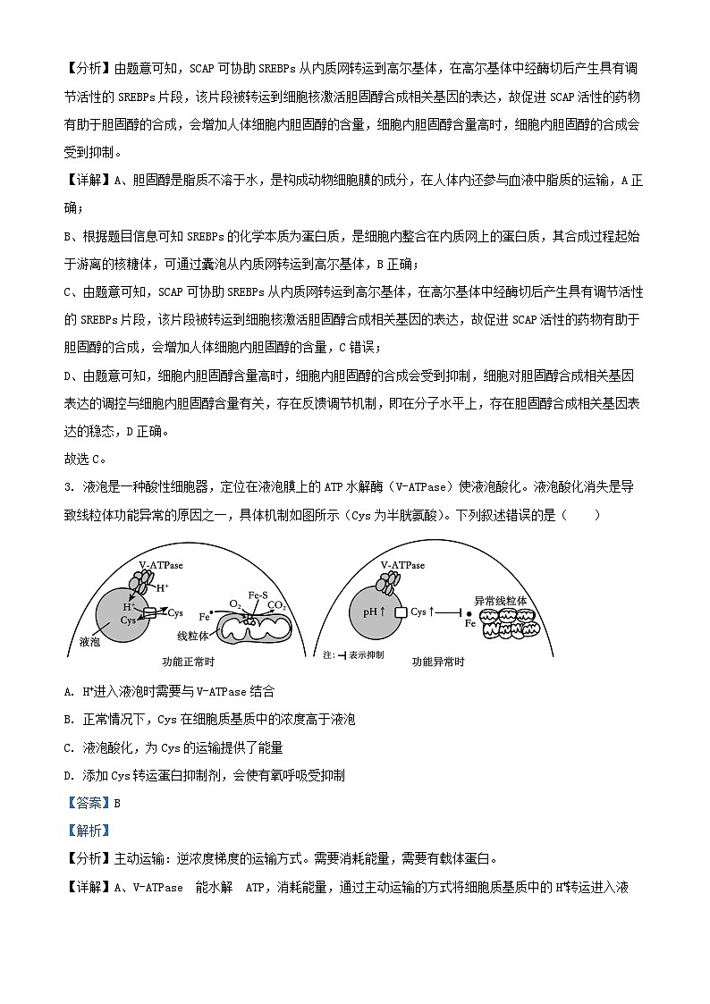 重庆市2024_2025学年高三生物上学期12月月考试题含解析第2页